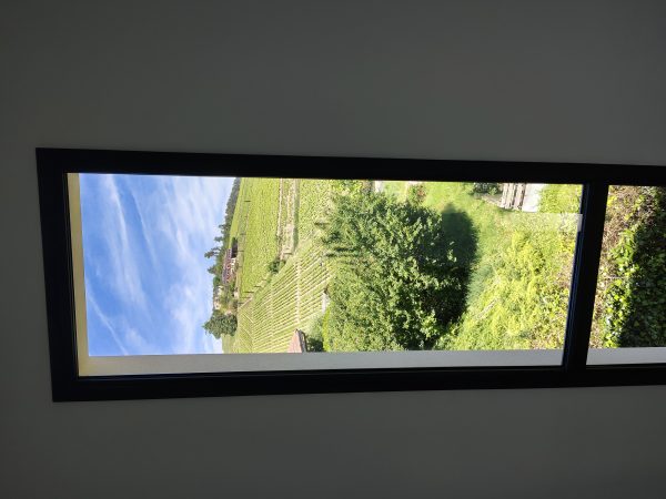 IMG_20260522_134511789_HDR